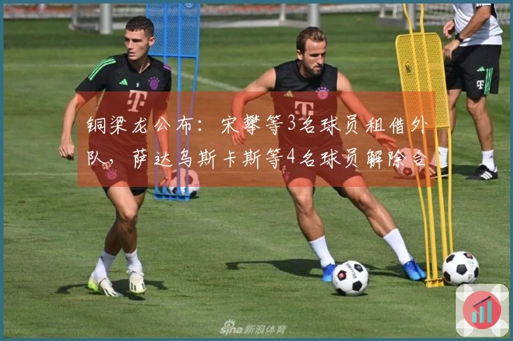 铜梁龙公布：宋攀等3名球员租借外队，萨达乌斯卡斯等4名球员解除合同离队